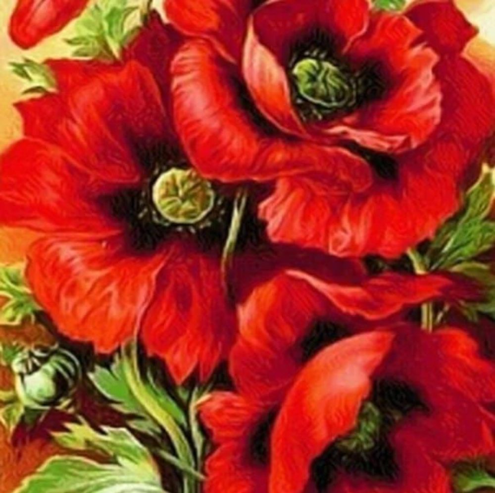 Meet your Posher, Tammy